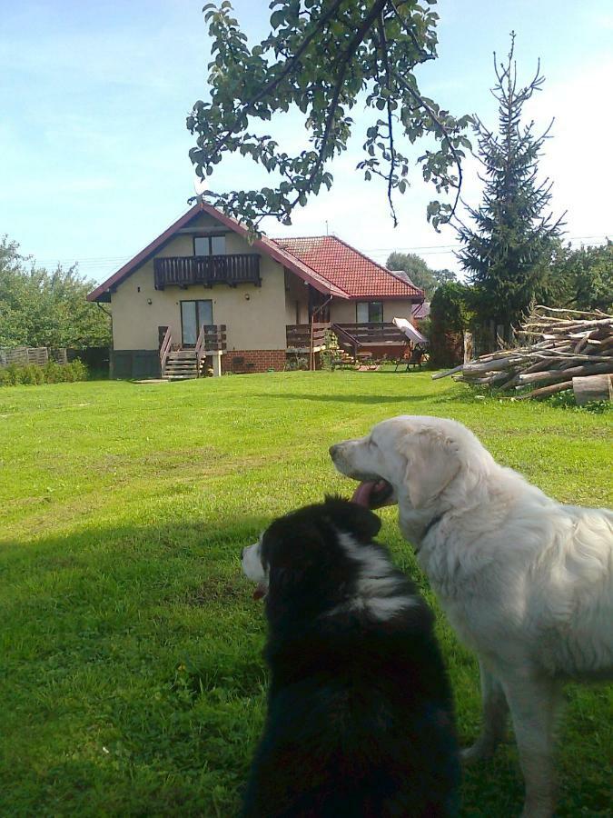 Agroturystyka Sielana Kostrzyca Extérieur photo