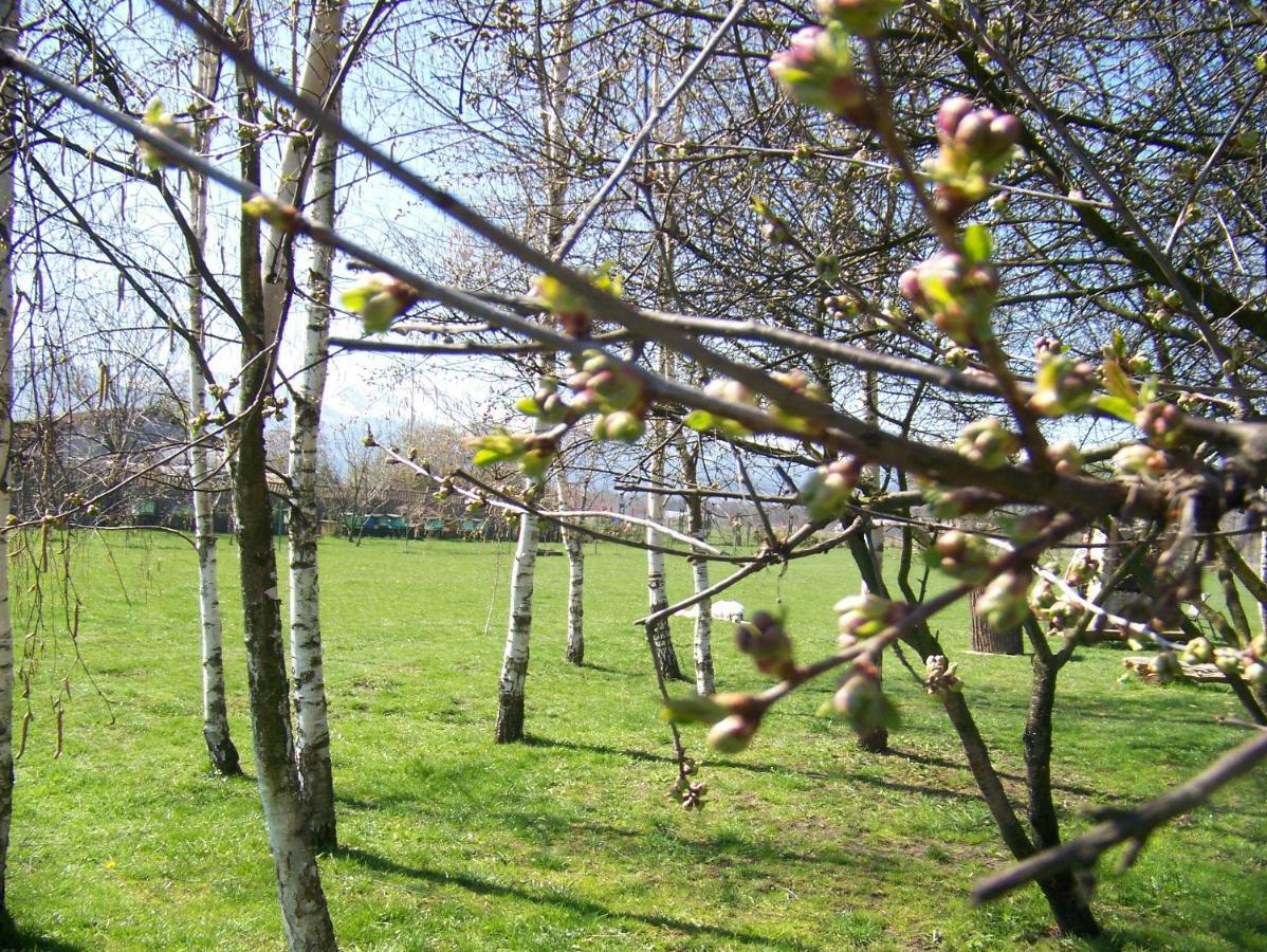 Agroturystyka Sielana Kostrzyca Extérieur photo